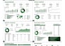 create a professional microsoft excel dashboard and report